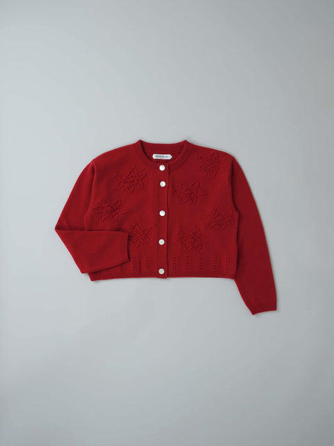No.10 Outside the window アマリリスカーディガン（red）