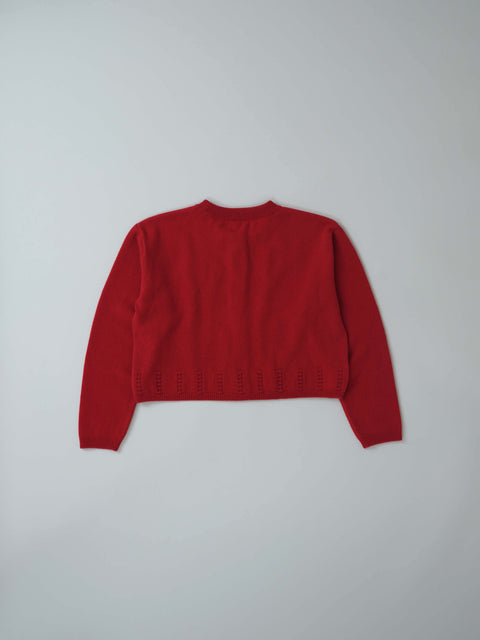 No.10 Outside the window アマリリスカーディガン（red）